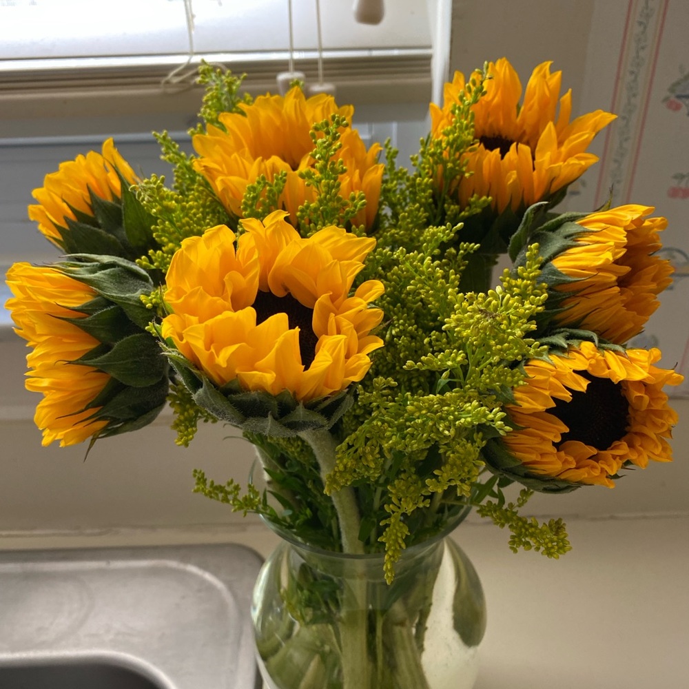 Meet your Posher, Peggy